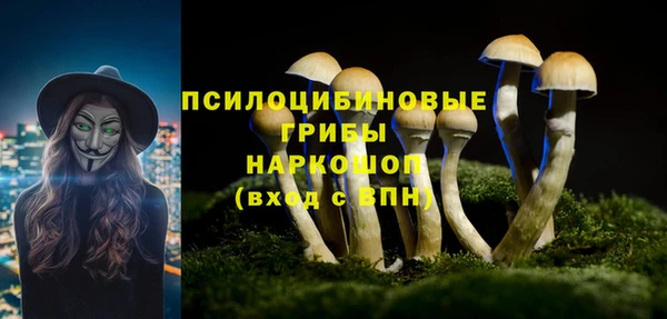 амф Гусь-Хрустальный
