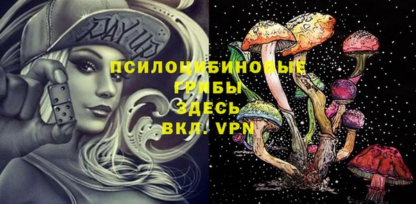 шишки Горнозаводск