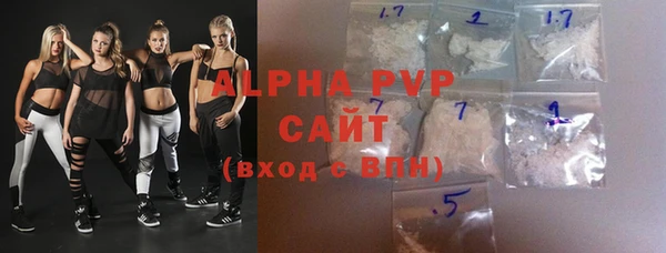 амф Гусь-Хрустальный