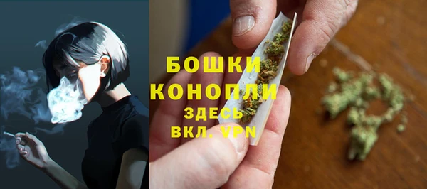 крисы Горно-Алтайск