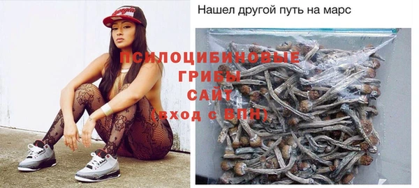 амф Гусь-Хрустальный