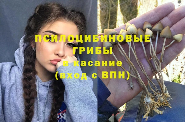 крисы Горно-Алтайск