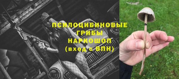 амф Гусь-Хрустальный