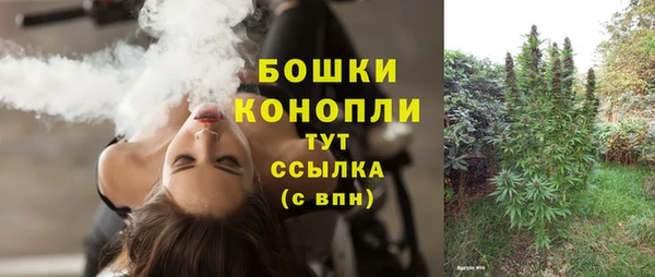 крисы Горно-Алтайск